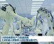 标题：威海AI 3D虚拟税务机器人代理来了！不用排队，动动嘴就能把税报了？